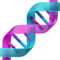 dna-icon