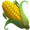 icon-corn